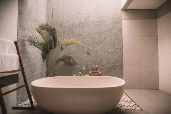 bathtub in a room with a plant