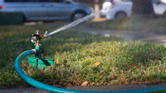 sprinkler watering lawn